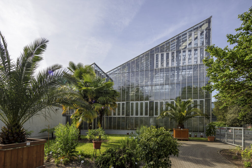 EIn Gewaechshaus im Botanischen Garten in Freiburg mit mehreren Palmen in einer Wiese im Vordergrund