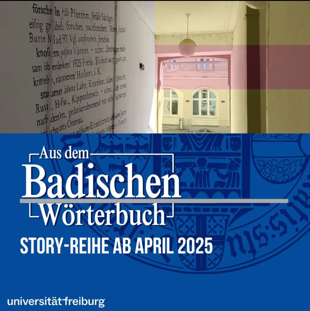 Screenshot Instagram: Neue Story-Reihe