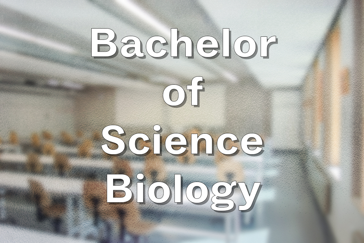 Bachelor of Science Biologie