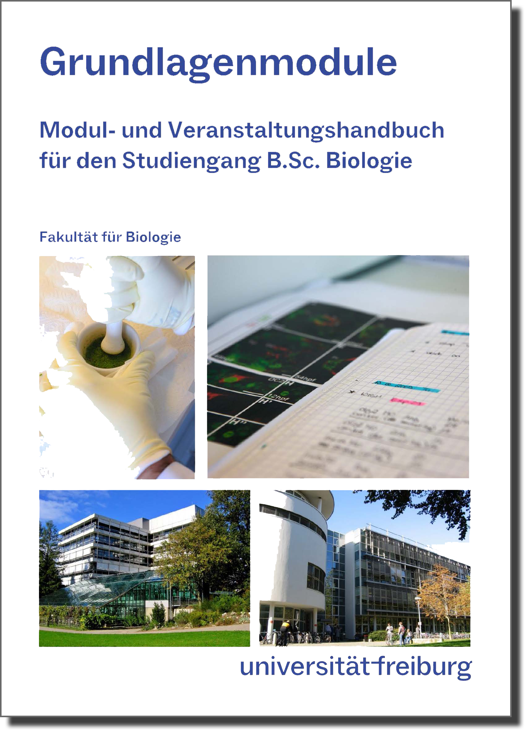 Cover Modulhandbuch Grundlagenmodule