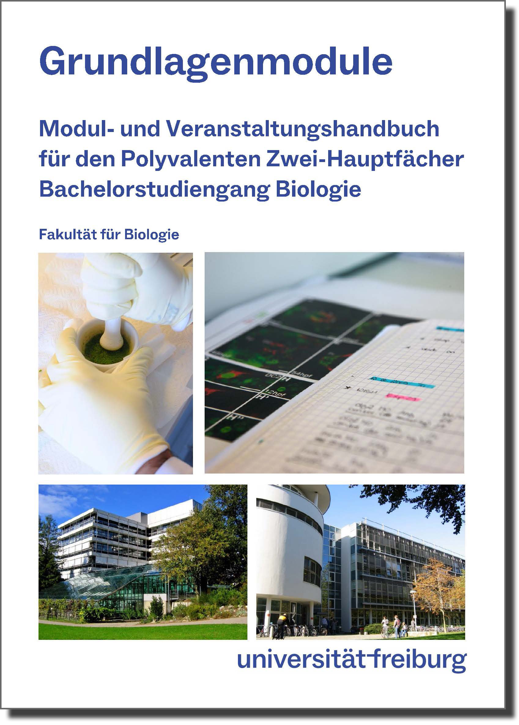 Cover Modulhandbuch Grundlagenmodule