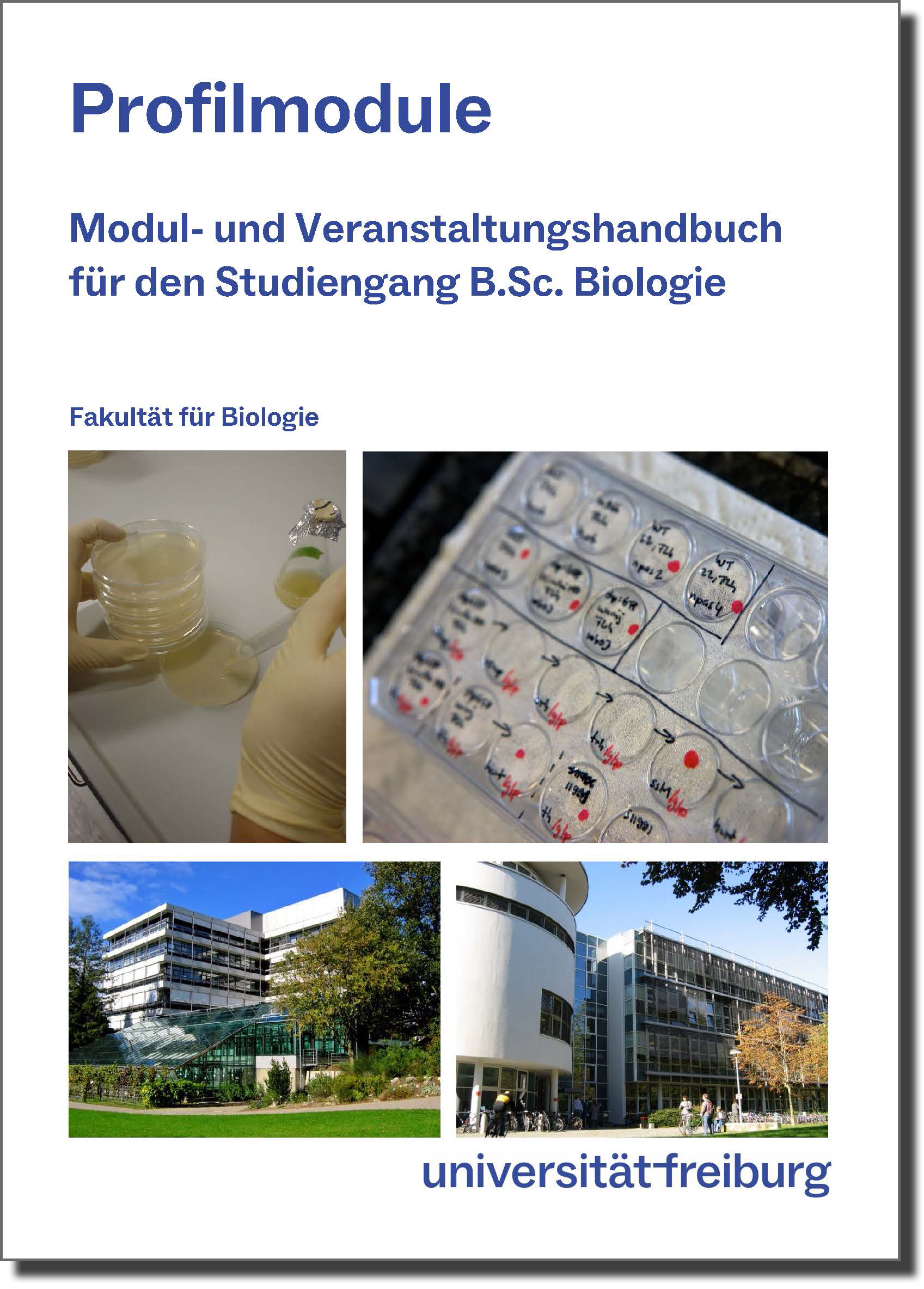 Cover Modulhandbuch Profilmodule