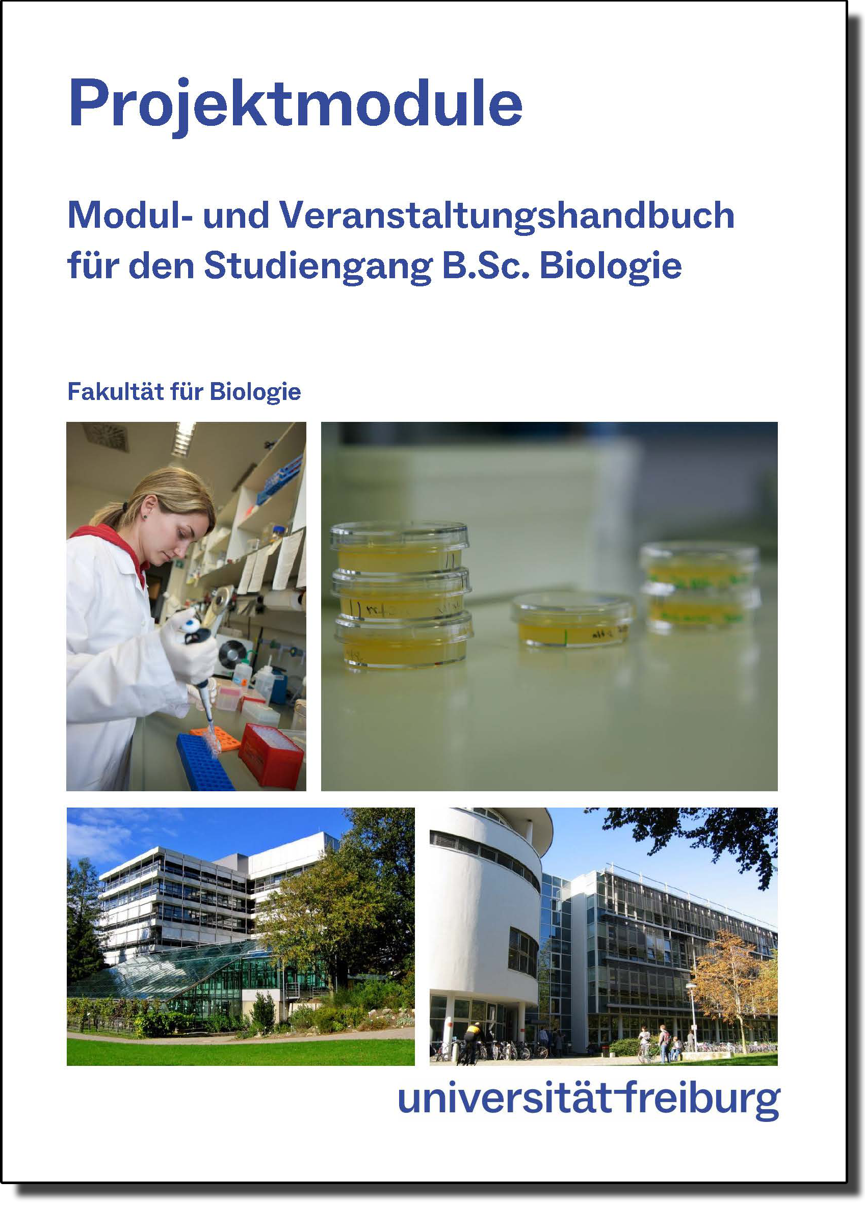 Cover Modulhandbuch Projektmodule