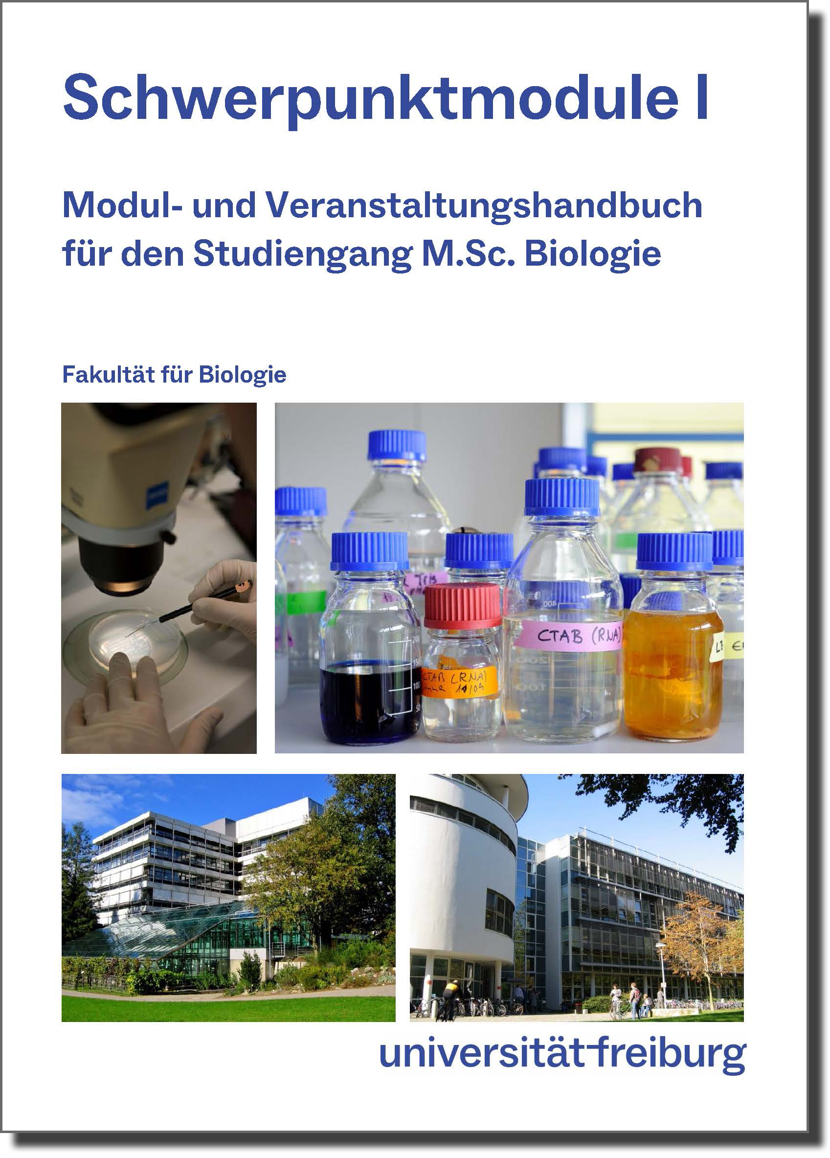 Cover Modulhandbuch Schwerpunktmodule I
