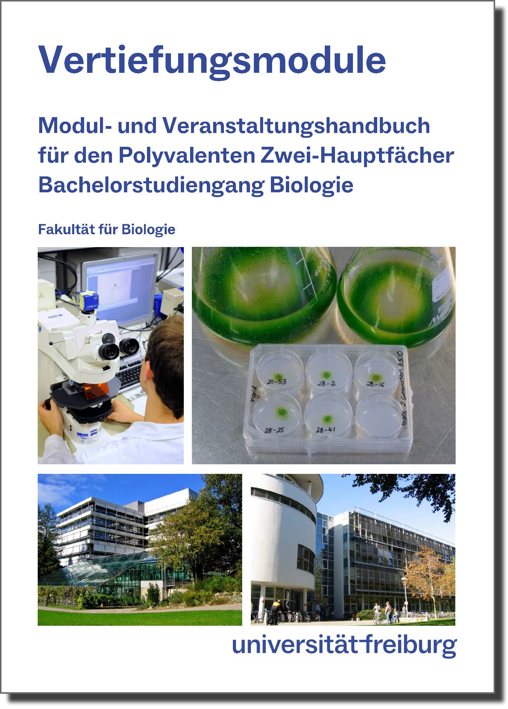 Cover Modulhandbuch Vertiefungsmodule