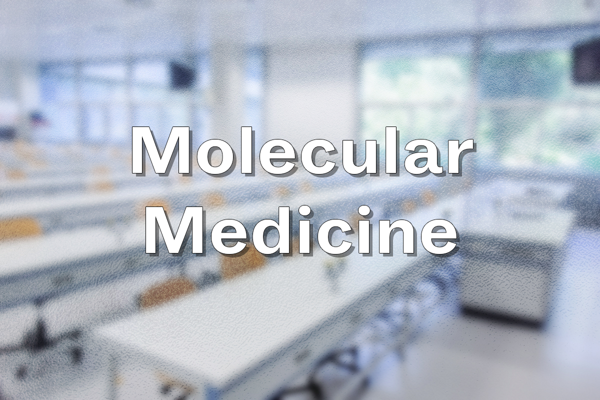 Molekulare Medizin