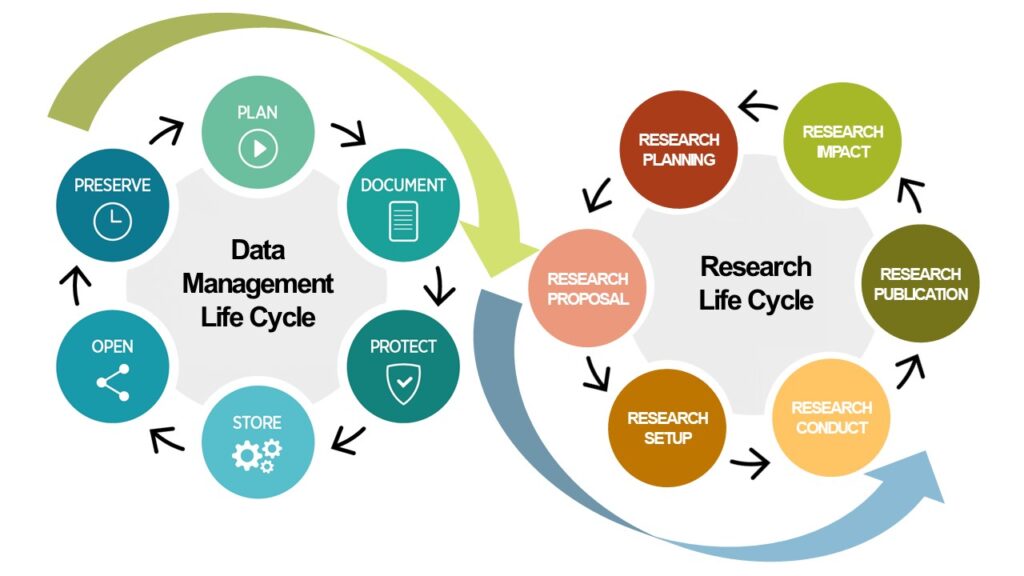 An illustration of the data management life cycle ant the research life cycle side by side and connected