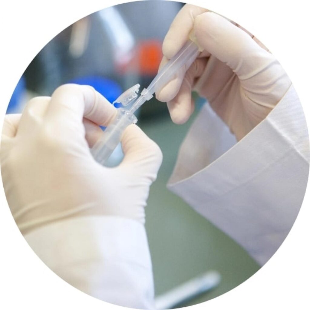 Hands in plastic gloves holding a sample.