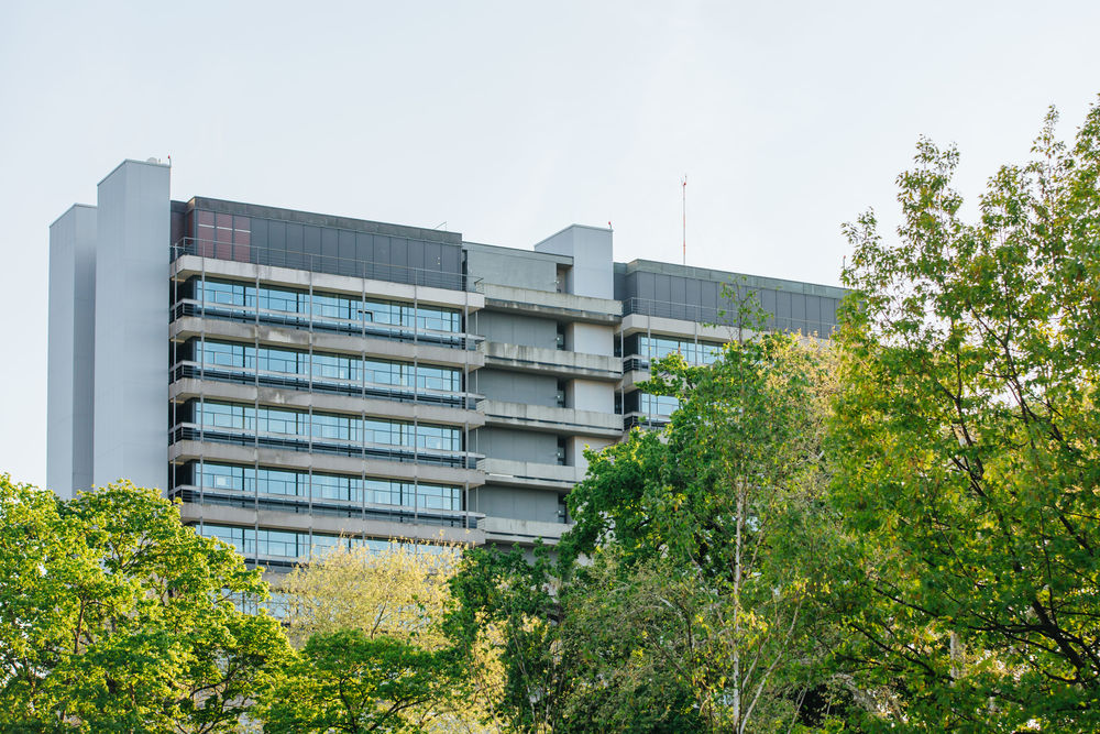 Fassade des Chemiehochhauses hinter Bäumen.