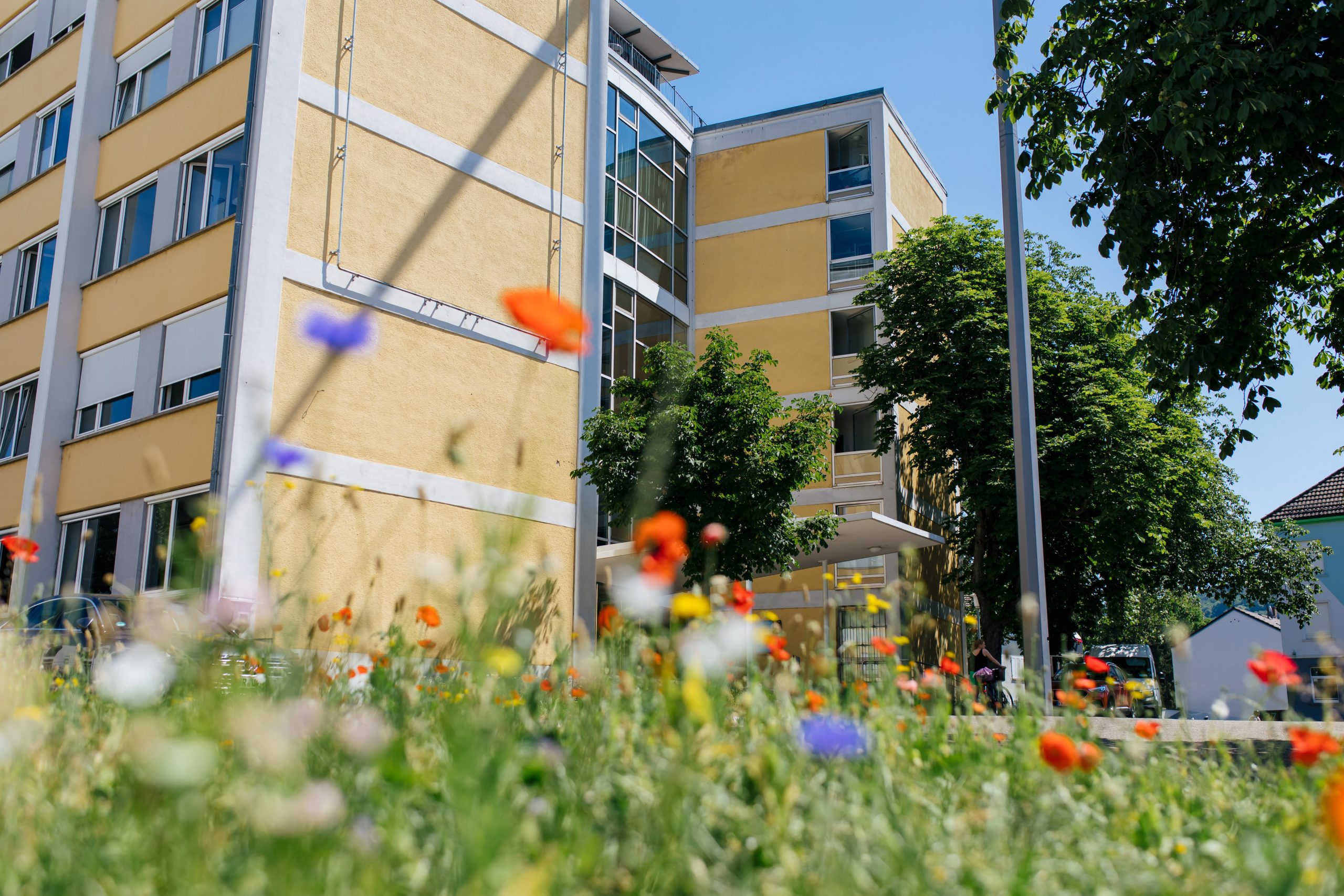 Das gelbe Rektoratsgebäude von links fotografiert. Im Vordergrund bunte Blumen.