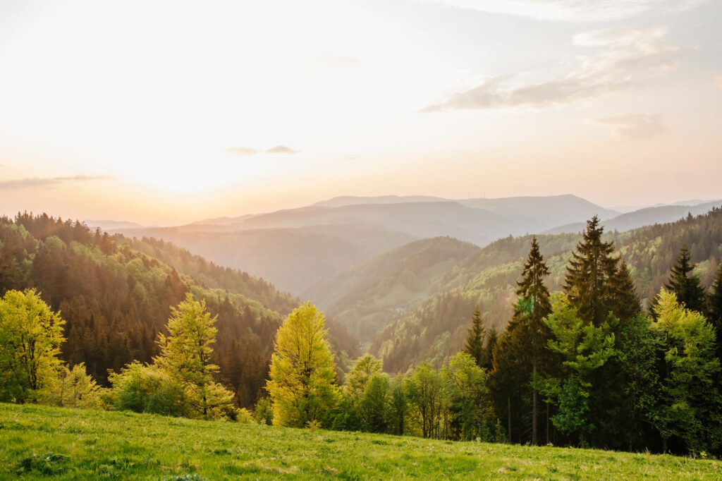 Sonnenaufgang im Schwarzwald. Bergkulisse hinter grüner Wiese.