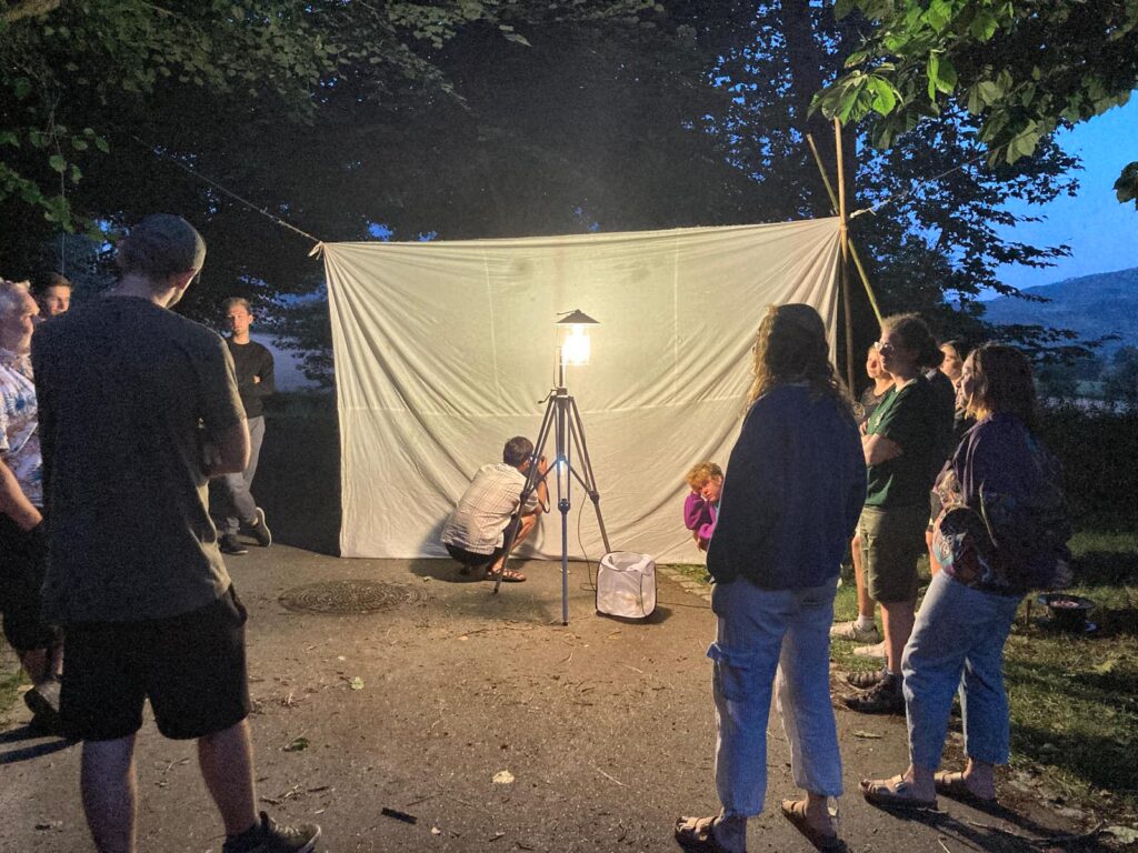 Students have gathered around a light source at dusk to observe catching insects with light.