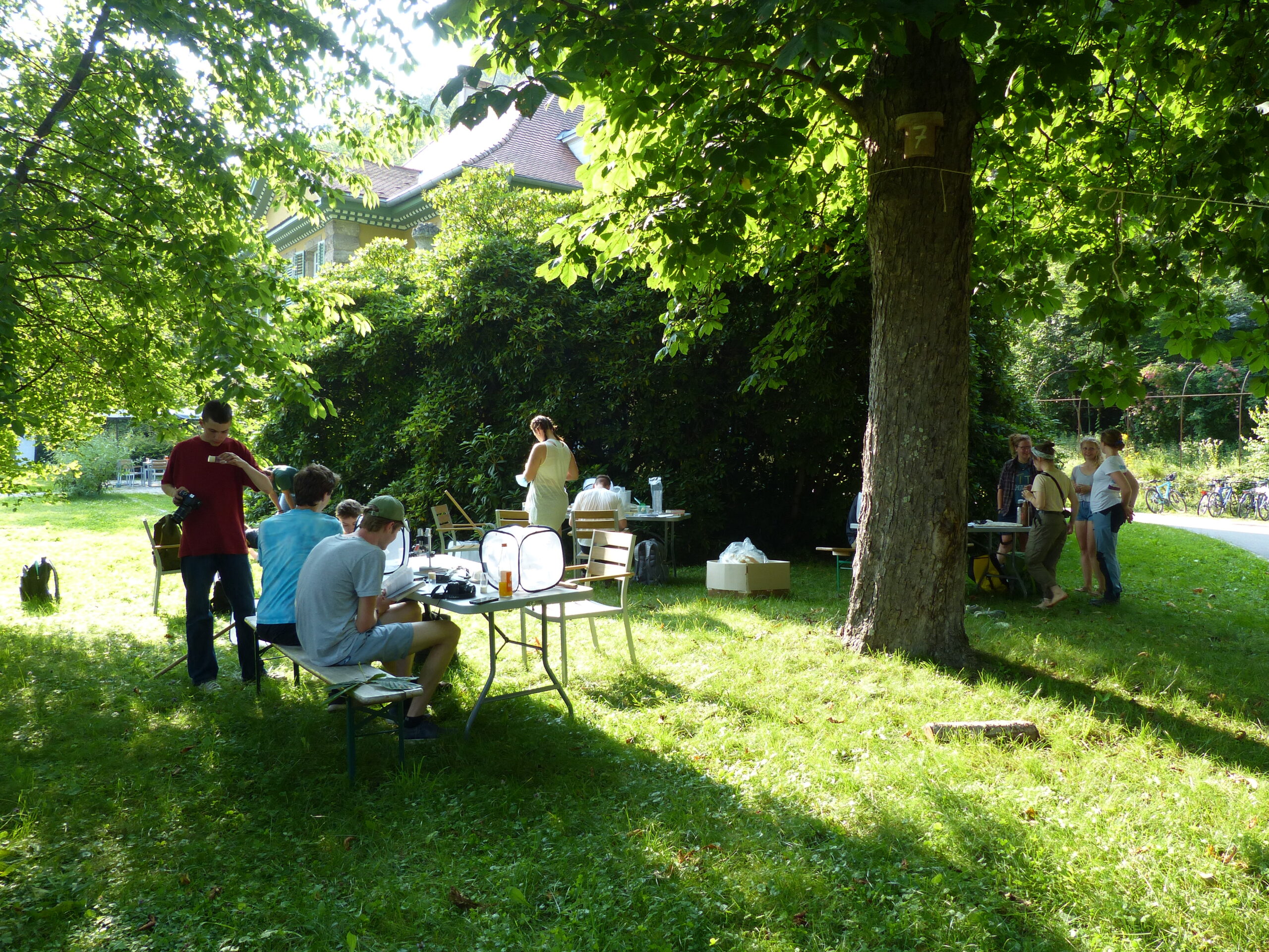 Students work in the professorships' outdoor areas with catch nets and identify insects