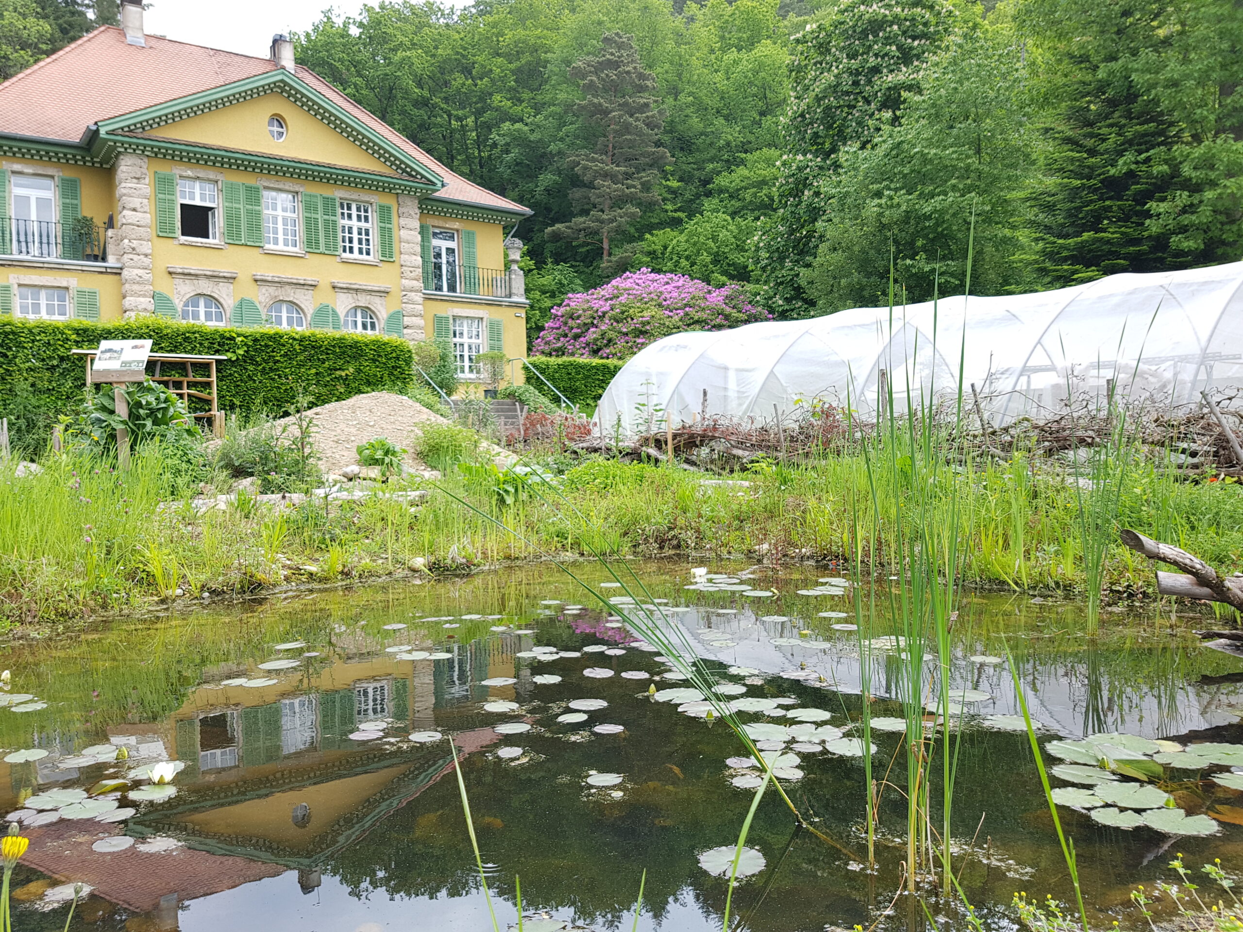 Insect hotel, nesting mound and pond in front of the professorship building