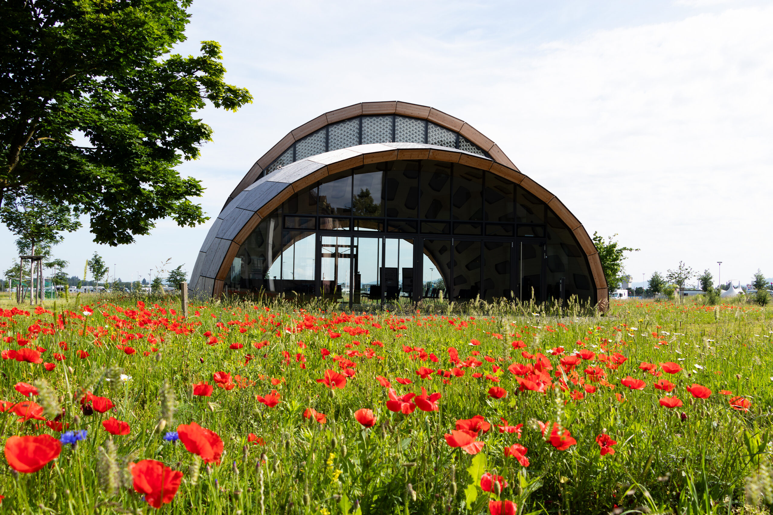 Pavillion livMarS Biomimetic Shell @ FIT mit Blumenwiese