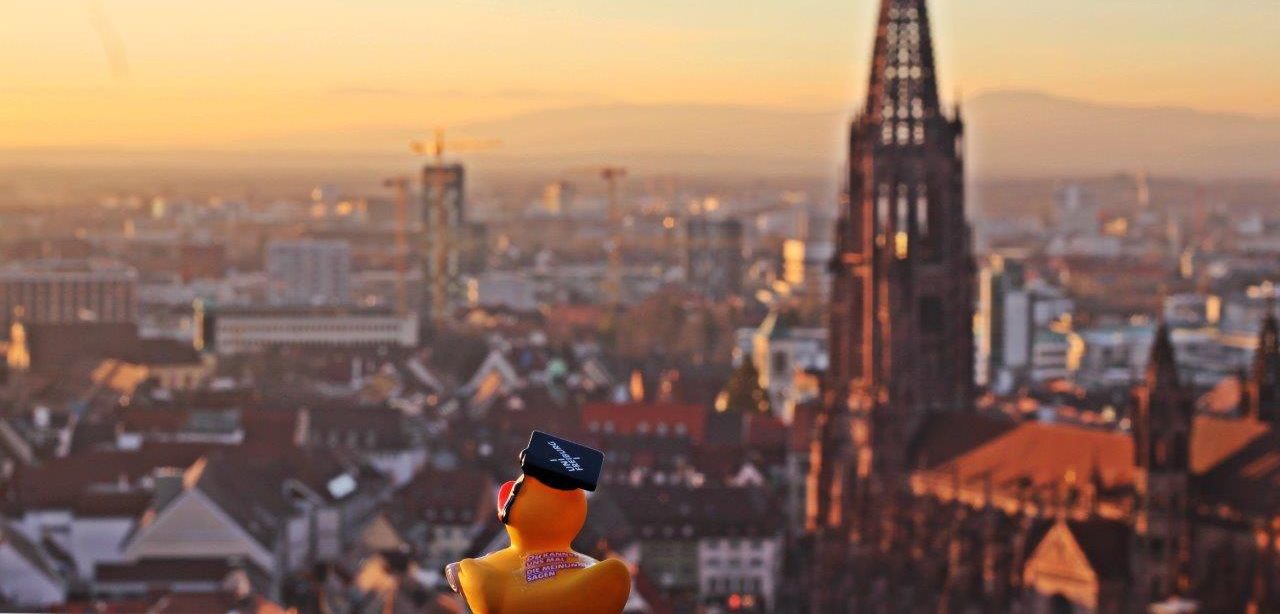 Blick über Freiburg mit Absolvente