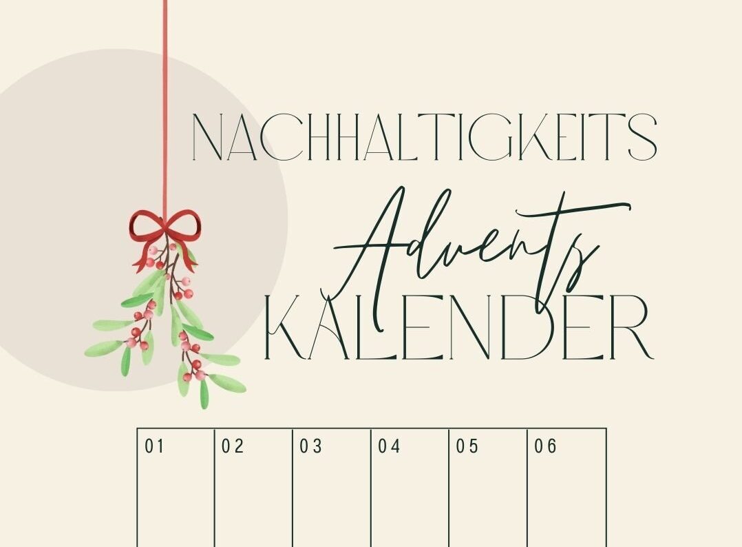 Nachhaltigkeits Adventskalender Türchen