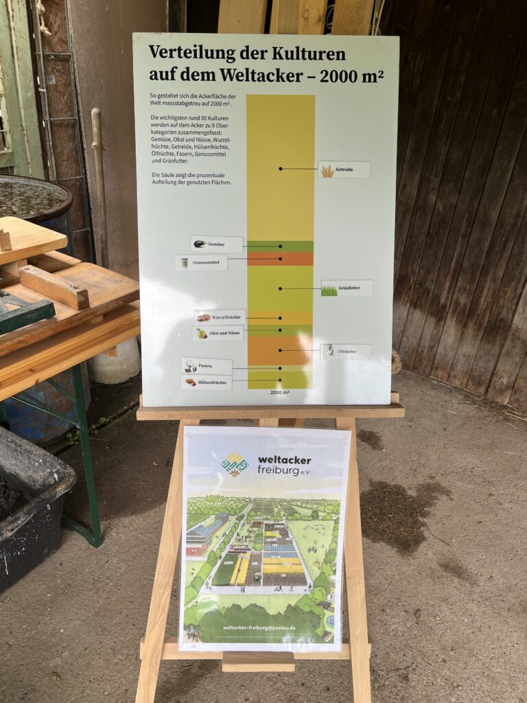 Führung im Weltacker Freiburg. Grafik der Verteilung der Kulturen auf dem Weltacker - 2000 quadratmeter