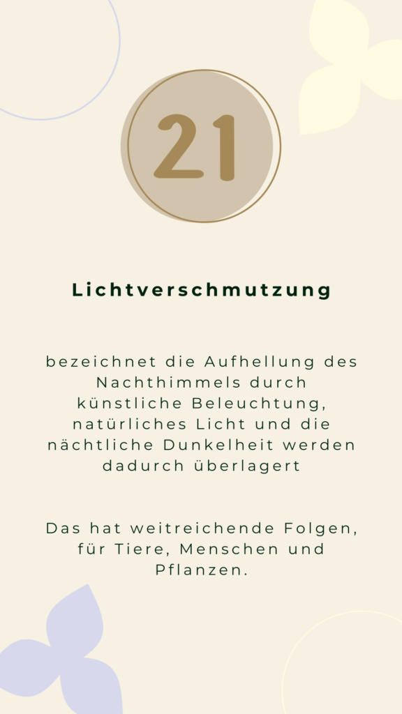 Tür 21 Lichtverschmutzung