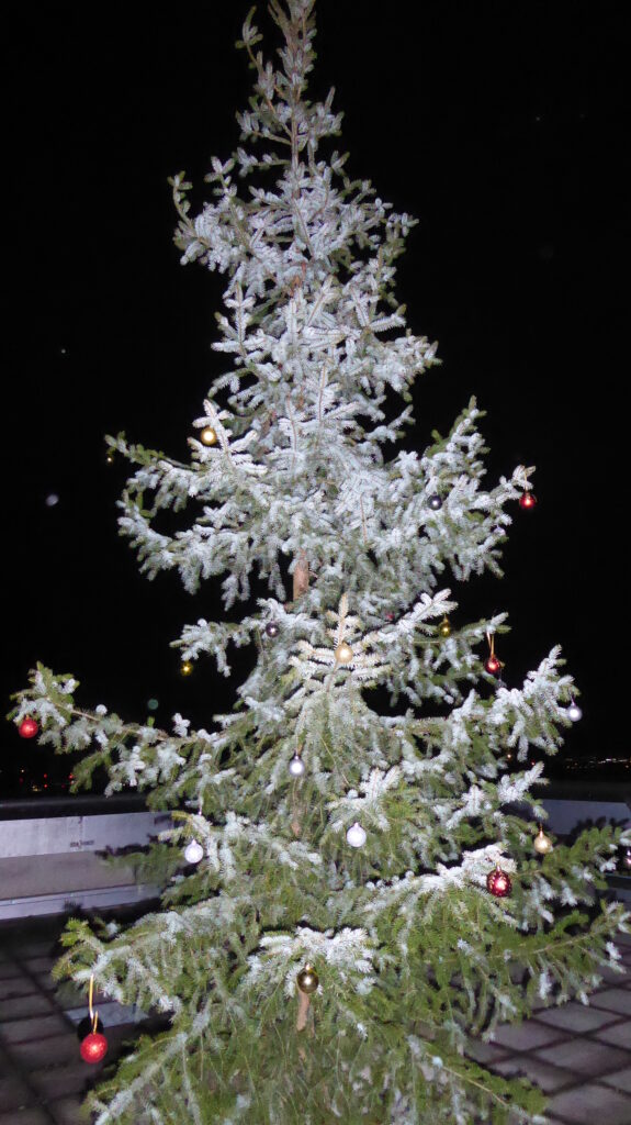 Weihnachtsbaum