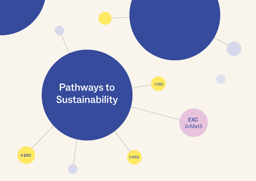White writing on blue circle: Pathways to Sustainability, connected with three smaller circles, blue writing on yellow background: 2 RTG, 1 CRC, 4 ERC as well as one circle, blue writing on pink circle: EXC livMatS