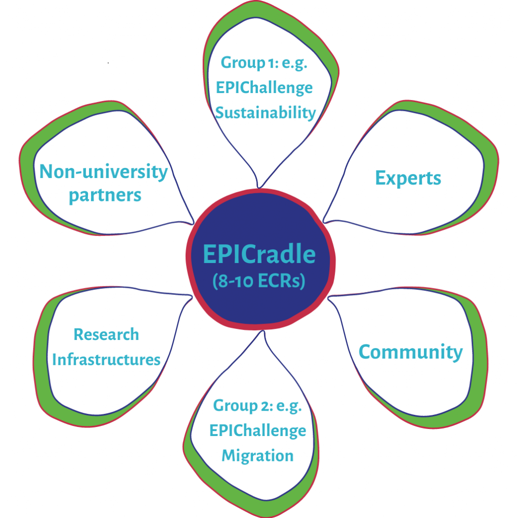Visualisierung der EPICradle ECRs