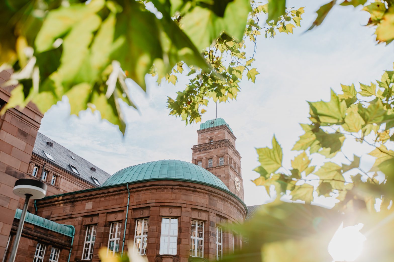 Blick auf Universitätsgebäude, umrahmt von grünen Blättern eines Baumes
