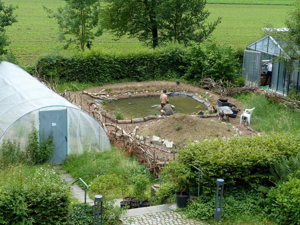 frisch angelegter Teich, zwei Studierende beim Arbeiten, Gewächshaus im Hintergrund, Nisthügel im Vordergrund