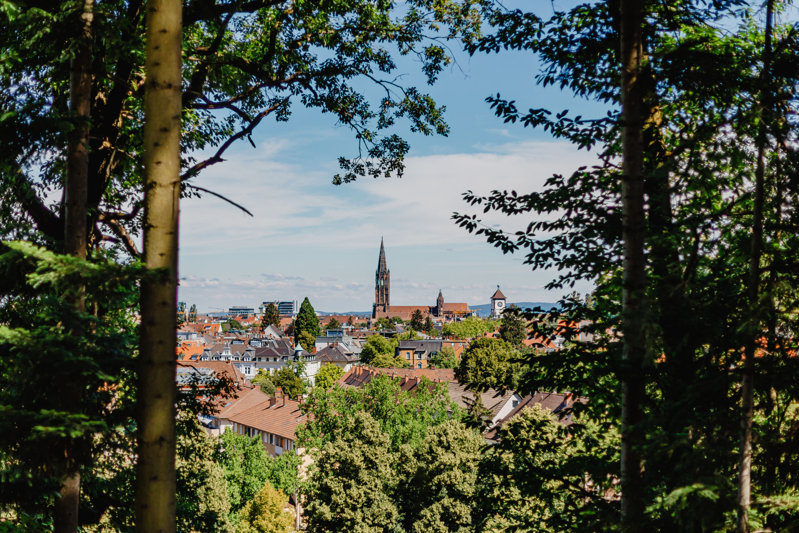 Freiburg und Münster.