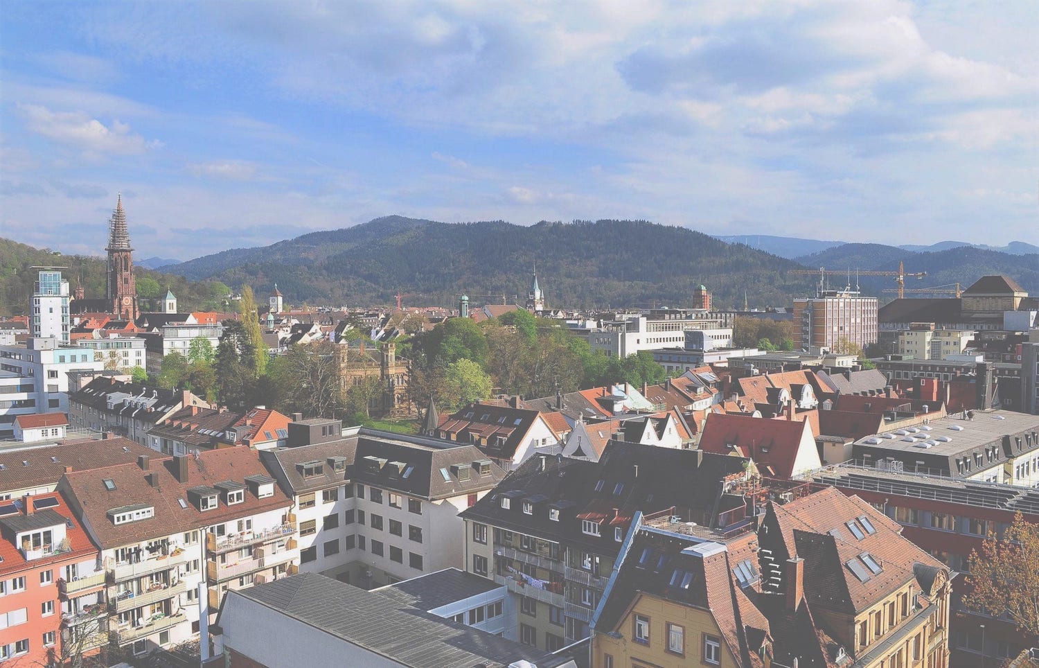 Blick auf die Dächer der Stadt Freiburg