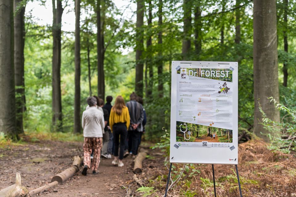 Eine Gruppe von Menschen geht gemeinsam durch ein Waldgebiet. Im Vordergrund steht eine Tafel mit der Aufschrift Dr. Forest.