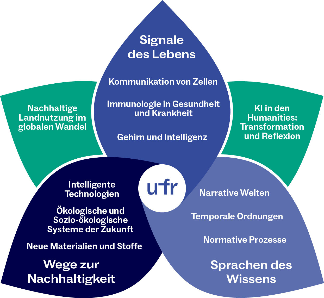 Die Blumen-Grafik stellt die drei Schwerpunktbereiche der Verbundforschung der Universität Freiburg als drei Hauptblütenblätter sowie die beiden interdisziplinären Potenzialfelder als Nebenblütenblätter dar. Die drei Hauptblütenblätter sind wie folgt beschriftet: Das obere trägt den Titel des ersten Schwerpunkts, „Signale des Lebens“, und beinhaltet die Unterpunkte Kommunikation von Zellen, Immunologie in Gesundheit und Krankheit sowie Gehirn und Intelligenz. Das rechte Hauptblatt der Blüte bildet den Schwerpunkt „Sprachen des Wissens“ ab, und beinhaltet die Unterpunkte Narrative Welten, Temporale Ordnungen und Normative Prozesse. Der dritte Schwerpunkt „Wege zur Nachhaltigkeit“ ist auf dem linken Blütenblatt vermerkt und beinhaltet die Unterpunkte Intelligente Technologien, Ökologische und Sozio-ökologische Systeme der Zukunft und Neue Materialien und Stoffe. Die beiden Nebenblütenblätter sind mit den Titeln der Potenzialfelder der Universität Freiburg beschriftet. Auf dem linken Nebenblatt steht der Schwerpunkt „Nachhaltige Landnutzung im globalen Wandel“ und auf dem rechten Nebenblatt „KI in den Humanities: Transformation und Reflexion“.  