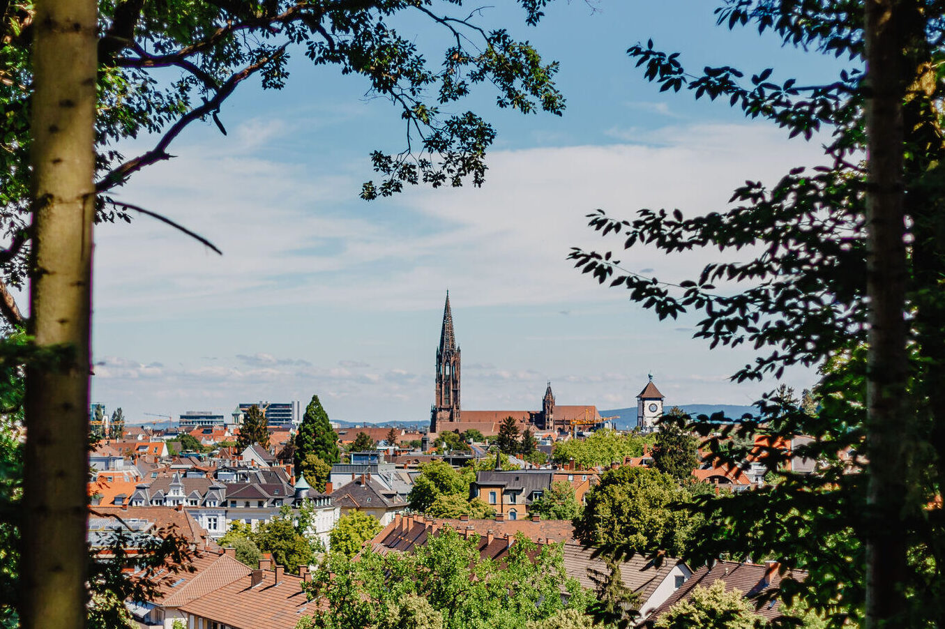 Ansicht auf Freiburg mit Münster und Schwabentor.