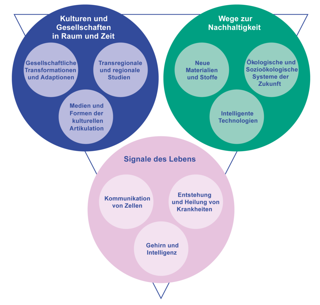 Eine Grafik zu den Inhalten der drei Forschungsschwerpunkte Kulturen und Gesellschaften in Raum und Zeit, Wege zur Nachhaltigkeit und Signale des Lebens