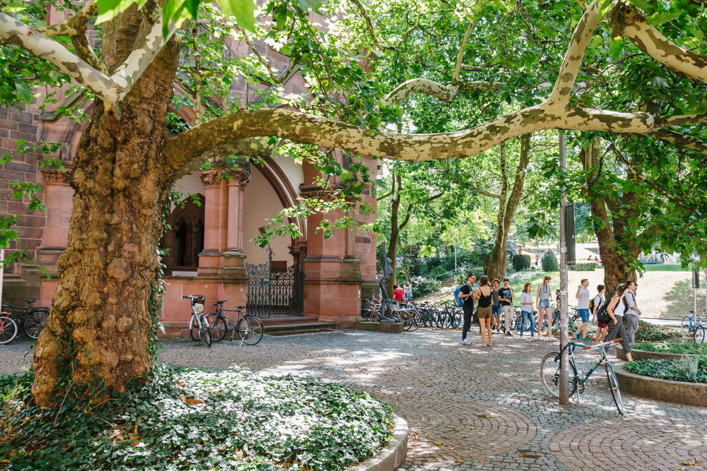 Haupteingang des KG 4 mit einem Baum.