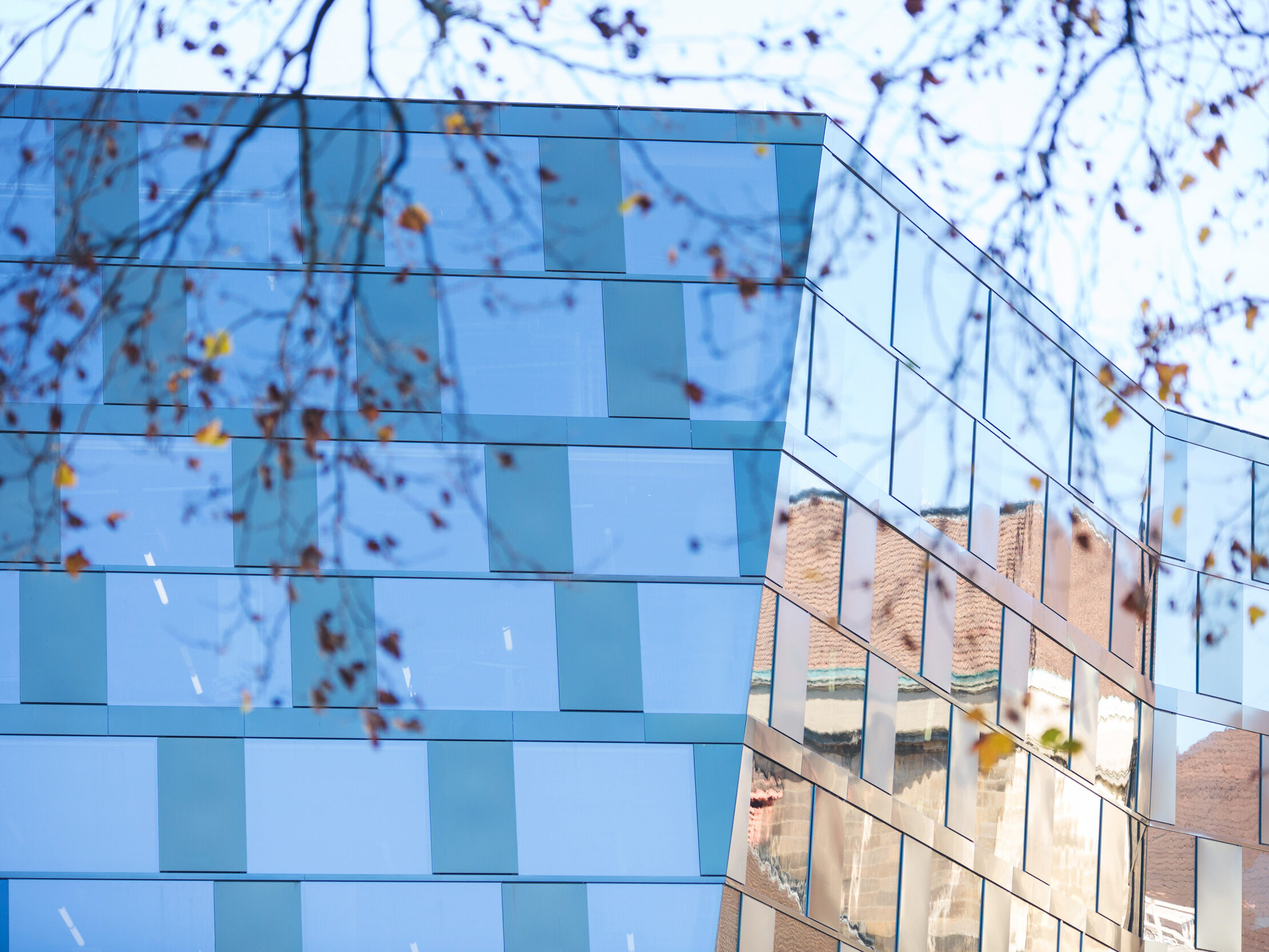 Ansicht auf die UB der Universität Freiburg.