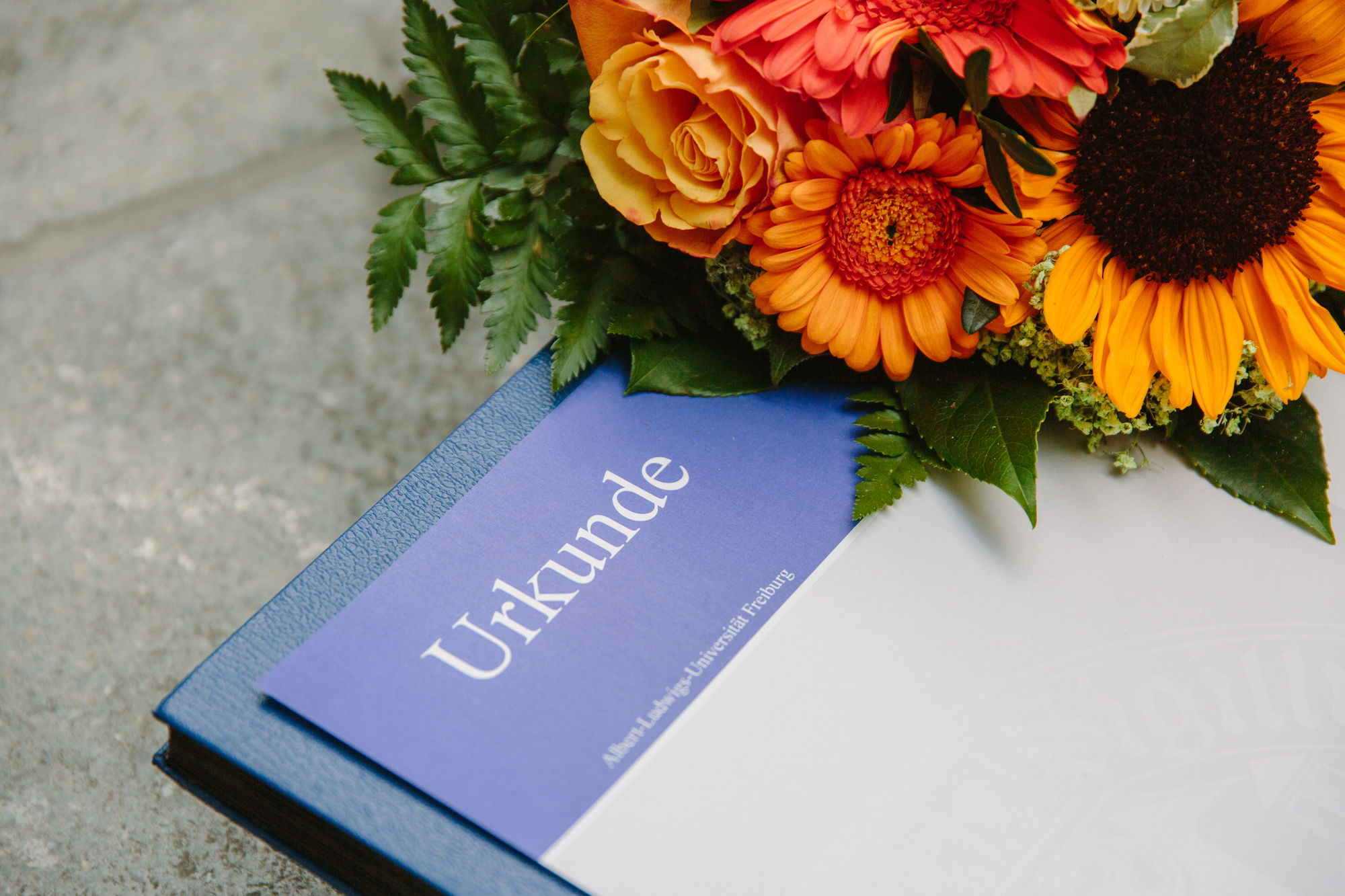 Nahaufnahme einer unbeschriebenen Urkunde der Universität Freiburg mit einem Strauß verschiedener Blumen in Orangetönen liegt schön angerichtet auf der Straße